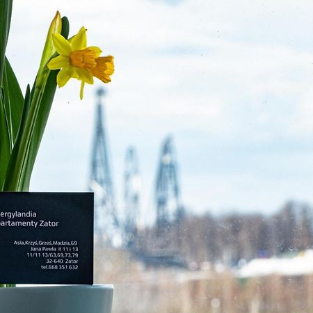 ENERGYLANDIA Zator Apartament Grześ Zewnętrze zdjęcie